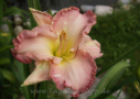 Beyond Borders, Rogers 2005, Height 28”, Höhe 71 cm