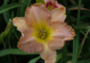 Carolyn Mann, Kinnebrew 2005, Height 32”, Höhe 81 cm