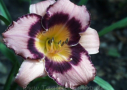 Forever Abundant, Shooter 1997, Height 37”, Höhe 94 cm