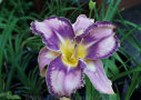 Mildred Mitchell, Mitchell 1998, Height 26”, Höhe 66 cm