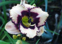 Naturally Naughty, Joiner 2001, Height 26”, Höhe 66 cm