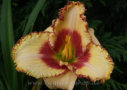 Nicole Ashley Scott, Scott 2004, Height 28”, Höhe 71 cm
