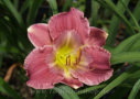 Nile Jewel, Salter 2006, Height 22”, Höhe 56 cm