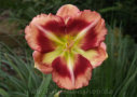 Peppermint Delight, Carpenter 2003, Height 24”, Höhe 61 cm
