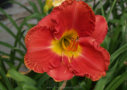 Red Lovelines, Carpenter 2000, Height 28”, Höhe 71 cm