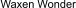 Waxen Wonder